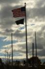 flags at Veterns park