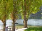 Pine Mountain Lake ~ Groveland, CA