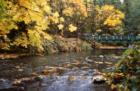 Goldstream Park just North of Langford BC, in Greater Victoria