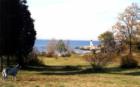 Meadow at Light House Beach Annisquam
