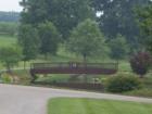 Great photo of Shelton Vineyard grounds.