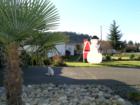 Christmas (c/w Palm Trees) in Victoria, BC