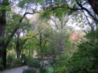 Central Park