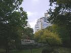 Looking toward a rock outcropping and 5th Avenue
