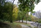 Central Park