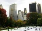 The Wollman ice skating rink looking south toward mid-town.