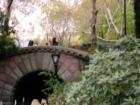 You can see the top of a horse-drawn carriage crossing the bridge.