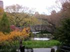 Central Park