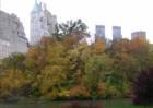 Looking south and west from the southern part of Central Park.