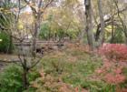 Central Park