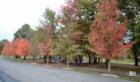 Pascack Valley Brook Park In the Fall in Westwood New Jersey