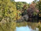 Oradell Resevoir in the Fall in Oradell New Jersey