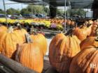 Demarest Farms in Hillsdale New Jersey