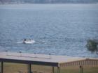 Boating on the Lake