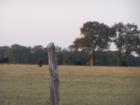 Farm Land 
