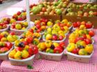 A sample of the locally grown produce that is available at the Red Stick Farmer's Market  every Saturday morning