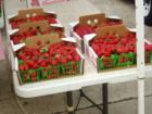 Fresh Louisiana strawberries!  