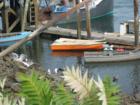 Row boats at Rye Harbor