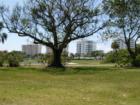 Longboat Key Resort