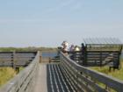 Bird Walk at Myakka State Park, Sarasota