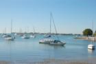 Boats in Harbor, Sarasota Baypoint Park