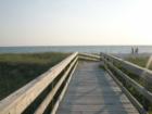 Path to the Beach, osprey