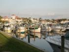 Southbay Yacht Club Harbor