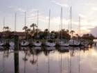 Sailboats in a Row, osprey