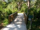 Walking path, Oscar Scherer State Park