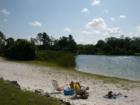 Beach at Oscar Scherer State Park