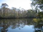 The Waccamaw River at Pottery Landing