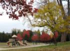Park at Lorton Library-Fairfax County VA