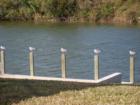 Came home one evening to see these five guys enjoying my dock