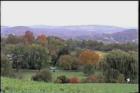 Beautiful Views