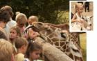 Feeding the Giraffe's Binder Park Zoo
