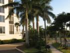Waterside landscaping, Lee County, FL