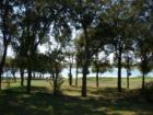 Thrall, Texas Ranch - about 30 minutes from Round Rock