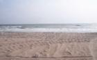 Historic American Beach