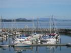 Sidney Harbour
