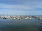 Sidney Harbour
