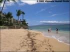 Hale Mahina Beach Resort, Honokowai, Maui Hawaii  <a href="http://www.garybland.com">http://www.garybland.com</a>
      
      <a href=" http://www.realestatemaui.us">Visit my Maui Real Estate weblog.</a>
      