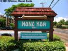 Hono Koa, Honokowai, Maui Hawaii  <a href="http://www.garybland.com">http://www.garybland.com</a>
      
      <a href=" http://www.realestatemaui.us">Visit my Maui Real Estate weblog.</a>
      