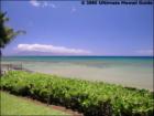 Hono Koa, Honokowai, Maui Hawaii  <a href="http://www.garybland.com">http://www.garybland.com</a>
      
      <a href=" http://www.realestatemaui.us">Visit my Maui Real Estate weblog.</a>
      
