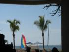 The Gulf of Mexico