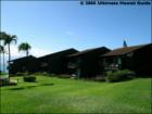 Mahina Surf, Honokowai, Maui Hawaii  <a href="http://www.garybland.com">http://www.garybland.com</a>
      
      <a href=" http://www.realestatemaui.us">Visit my Maui Real Estate weblog.</a>
      