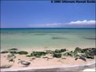 Makani Sands, Honokowai, Maui Hawaii  <a href="http://www.garybland.com">http://www.garybland.com</a>
      
      <a href=" http://www.realestatemaui.us">Visit my Maui Real Estate weblog.</a>
      