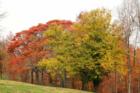 Color of Autumn in the hills of Franklin