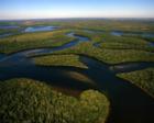 Everglades