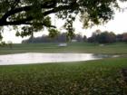 Maple Lawn Farm