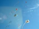 Kite Festival at Fort Casey, Coupeville, Whidbey Island, Washington